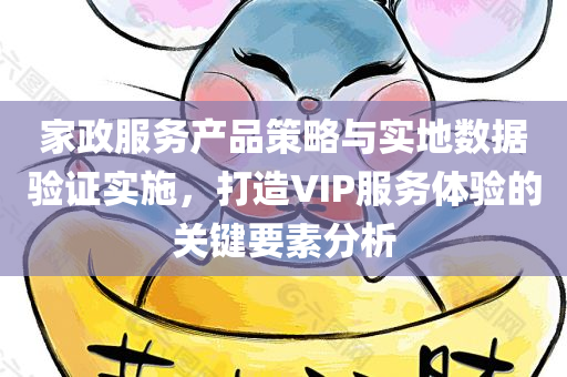 家政服务产品策略与实地数据验证实施，打造VIP服务体验的关键要素分析