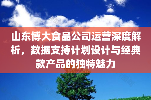 山东博大食品公司运营深度解析，数据支持计划设计与经典款产品的独特魅力