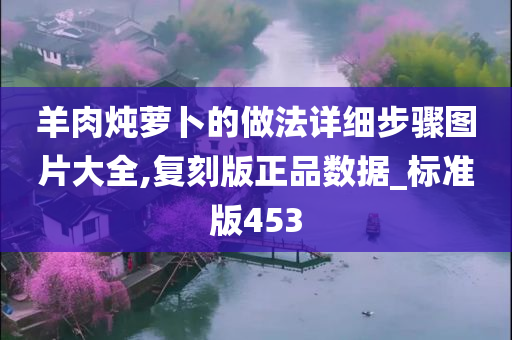 羊肉炖萝卜的做法详细步骤图片大全,复刻版正品数据_标准版453