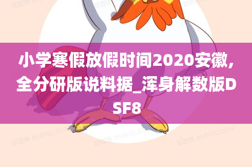 小学寒假放假时间2020安徽,全分研版说料据_浑身解数版DSF8