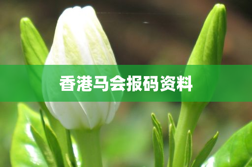 香港马会报码资料