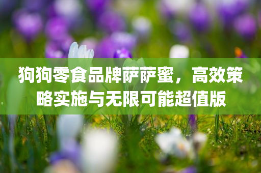 狗狗零食品牌萨萨蜜，高效策略实施与无限可能超值版