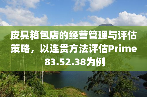 皮具箱包店的经营管理与评估策略，以连贯方法评估Prime 83.52.38为例