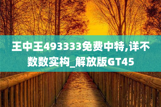 王中王493333免费中特,详不数数实构_解放版GT45