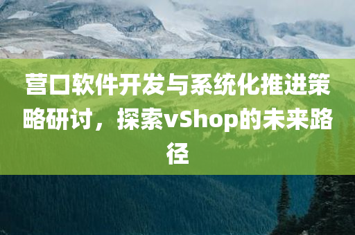 营口软件开发与系统化推进策略研讨，探索vShop的未来路径