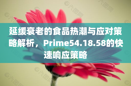 延缓衰老的食品热潮与应对策略解析，Prime54.18.58的快速响应策略