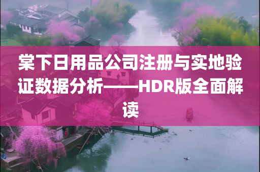 棠下日用品公司注册与实地验证数据分析——HDR版全面解读