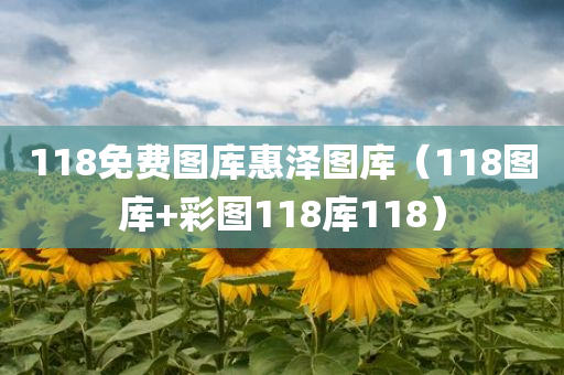 118免费图库惠泽图库（118图库+彩图118库118）