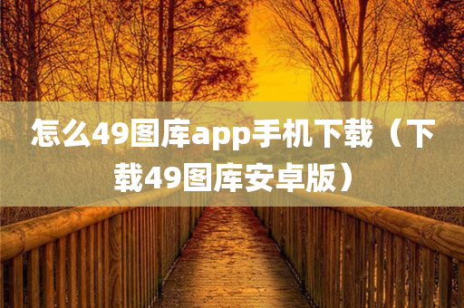 怎么49图库app手机下载（下载49图库安卓版）