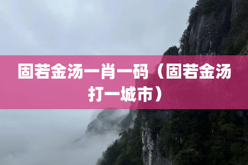 固若金汤一肖一码（固若金汤打一城市）