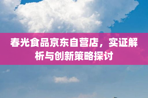 春光食品京东自营店，实证解析与创新策略探讨