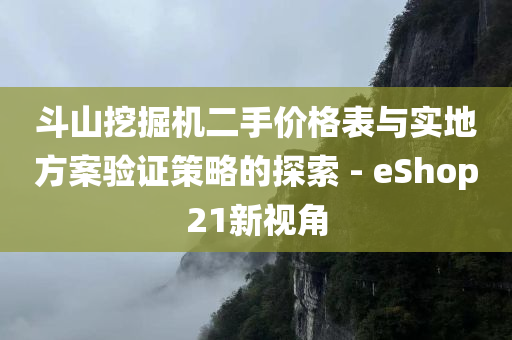 斗山挖掘机二手价格表与实地方案验证策略的探索 - eShop21新视角