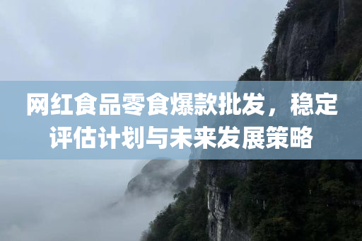 网红食品零食爆款批发，稳定评估计划与未来发展策略