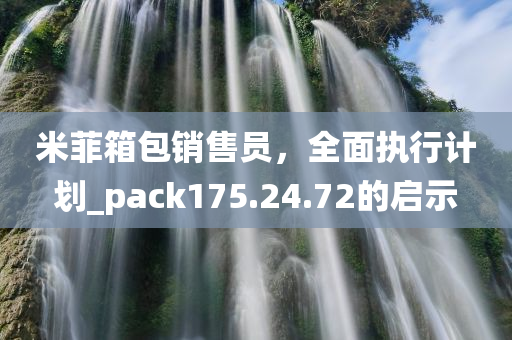 米菲箱包销售员，全面执行计划_pack175.24.72的启示