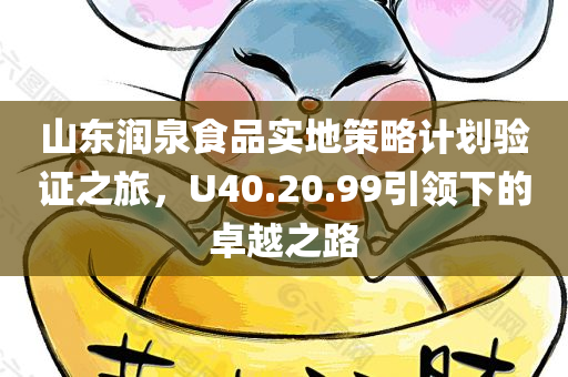 山东润泉食品实地策略计划验证之旅，U40.20.99引领下的卓越之路