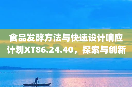 食品发酵方法与快速设计响应计划XT86.24.40，探索与创新