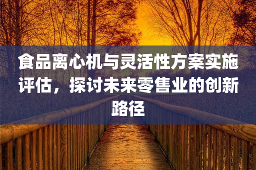 食品离心机与灵活性方案实施评估，探讨未来零售业的创新路径