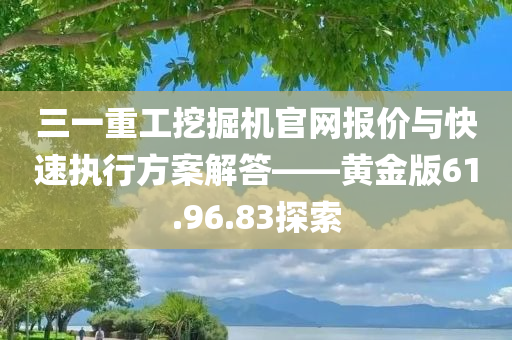 三一重工挖掘机官网报价与快速执行方案解答——黄金版61.96.83探索