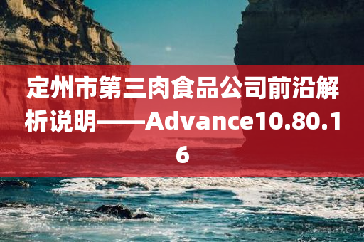 定州市第三肉食品公司前沿解析说明——Advance10.80.16