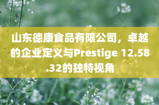 山东德康食品有限公司，卓越的企业定义与Prestige 12.58.32的独特视角