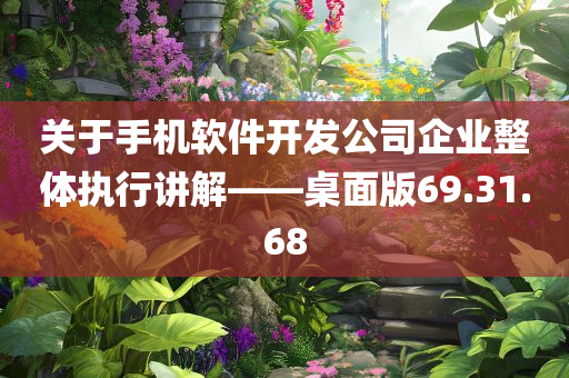 关于手机软件开发公司企业整体执行讲解——桌面版69.31.68