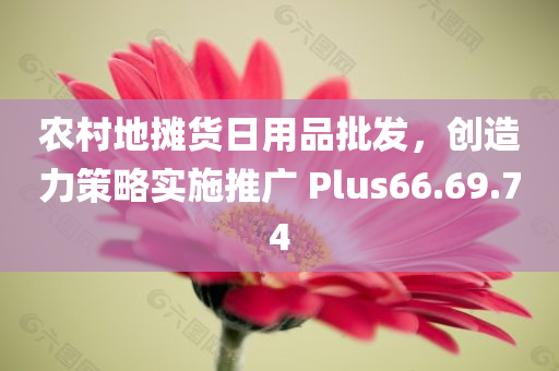 农村地摊货日用品批发，创造力策略实施推广 Plus66.69.74