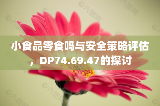 小食品零食吗与安全策略评估，DP74.69.47的探讨