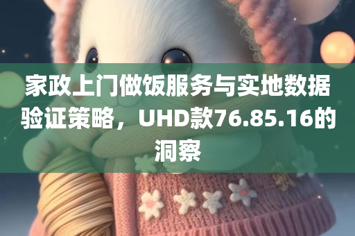 家政上门做饭服务与实地数据验证策略，UHD款76.85.16的洞察