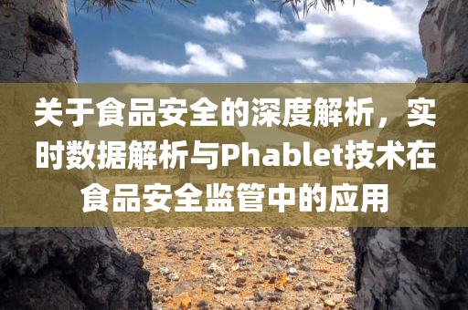 关于食品安全的深度解析，实时数据解析与Phablet技术在食品安全监管中的应用