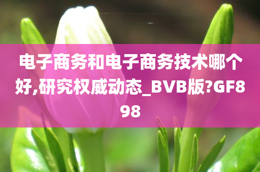 电子商务和电子商务技术哪个好,研究权威动态_BVB版?GF898