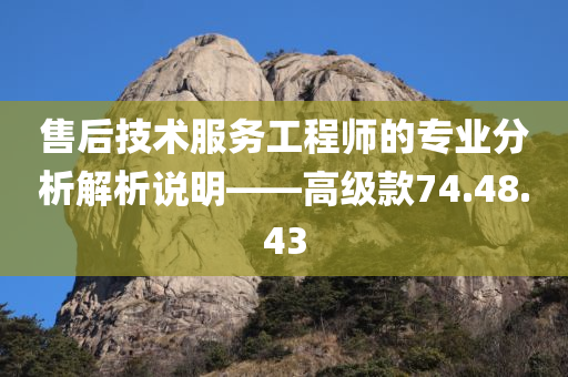 售后技术服务工程师的专业分析解析说明——高级款74.48.43