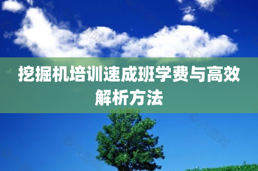 挖掘机培训速成班学费与高效解析方法