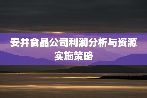 安井食品公司利润分析与资源实施策略