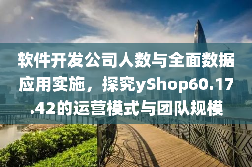 软件开发公司人数与全面数据应用实施，探究yShop60.17.42的运营模式与团队规模