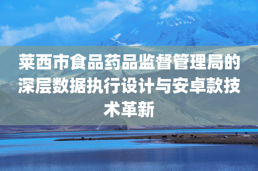 莱西市食品药品监督管理局的深层数据执行设计与安卓款技术革新