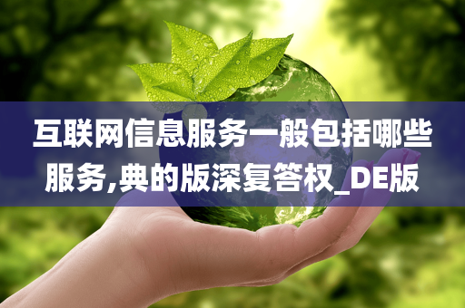 互联网信息服务一般包括哪些服务,典的版深复答权_DE版