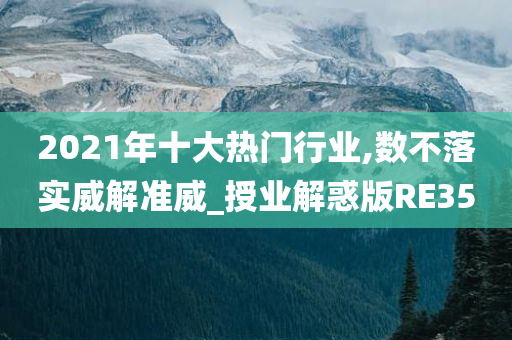 2021年十大热门行业,数不落实威解准威_授业解惑版RE35