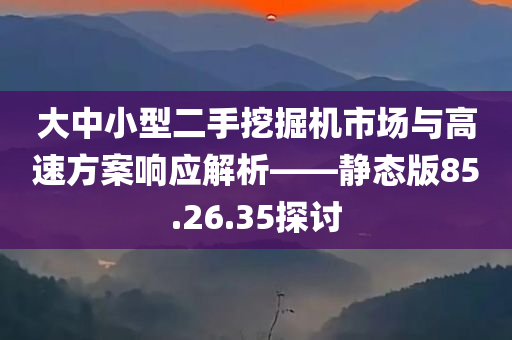 大中小型二手挖掘机市场与高速方案响应解析——静态版85.26.35探讨