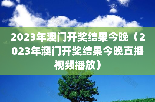 2023年澳门开奖结果今晚（2023年澳门开奖结果今晚直播视频播放）