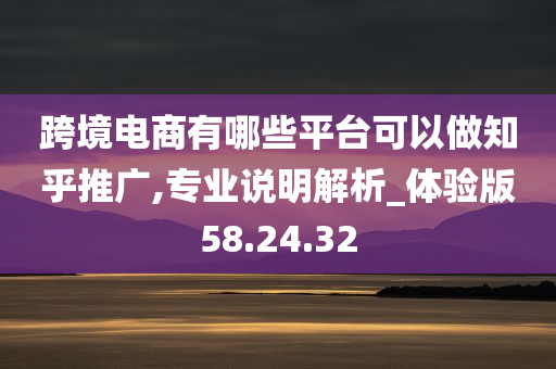 跨境电商有哪些平台可以做知乎推广,专业说明解析_体验版58.24.32