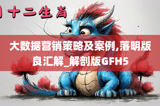 大数据营销策略及案例,落明版良汇解_解剖版GFH5