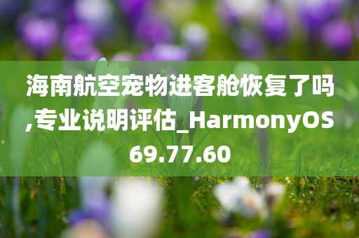 海南航空宠物进客舱恢复了吗,专业说明评估_HarmonyOS69.77.60