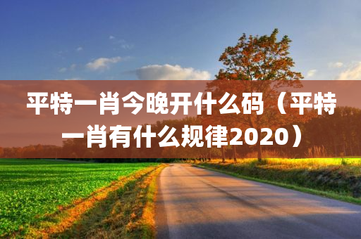 平特一肖今晚开什么码（平特一肖有什么规律2020）