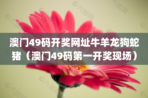 澳门49码开奖网址牛羊龙狗蛇猪（澳门49码第一开奖现场）