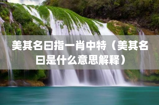 美其名曰指一肖中特（美其名曰是什么意思解释）