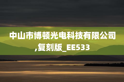 中山市博顿光电科技有限公司,复刻版_EE533