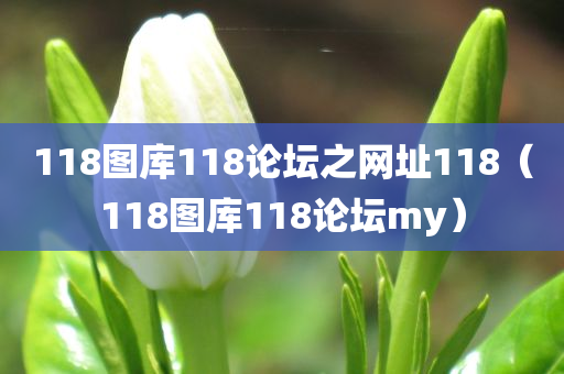 118图库118论坛之网址118（118图库118论坛my）