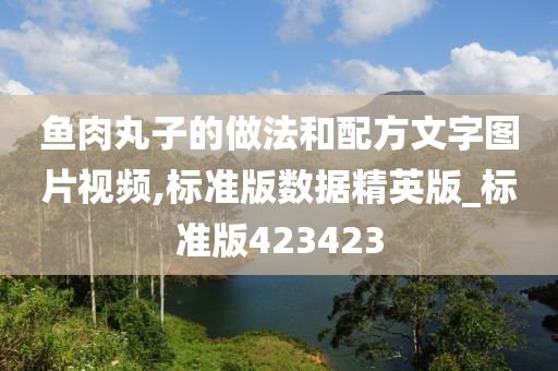 鱼肉丸子的做法和配方文字图片视频,标准版数据精英版_标准版423423