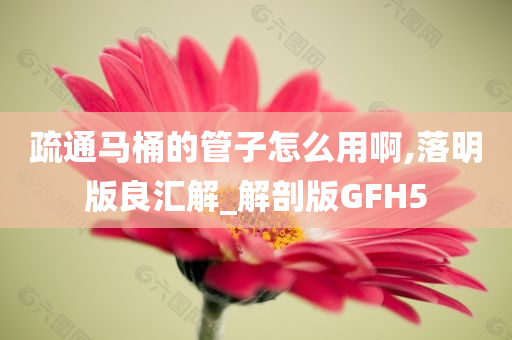 疏通马桶的管子怎么用啊,落明版良汇解_解剖版GFH5