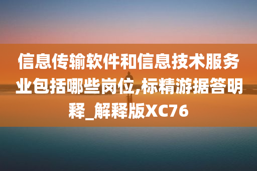 信息传输软件和信息技术服务业包括哪些岗位,标精游据答明释_解释版XC76